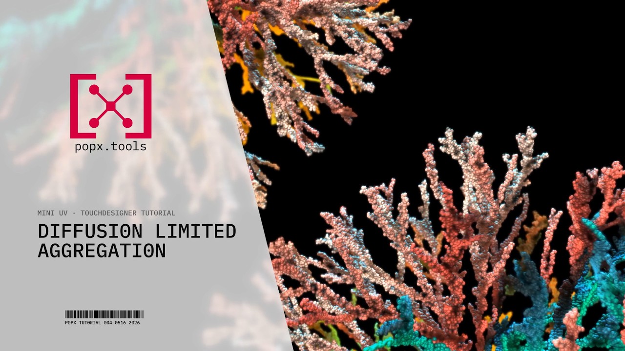 How to Build Diffusion Limited Aggregation with POPX - TouchDesigner ...