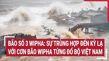 Bão số 3 Wipha: Sự trùng hợp đến kỳ lạ với cơn bão Wipha từng đổ bộ Việt Nam