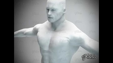 3D Model of Male Body Std Mat Printable Review