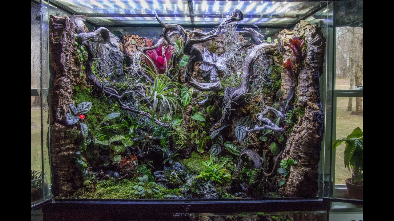 Big Exo Terra Paludarium March 22 2020 YouTube