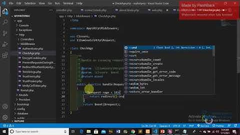 How To Make Middleware in Laravel