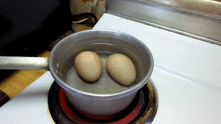 Are Turkey Eggs Good to Eat?