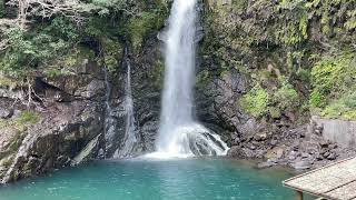 静岡県河津町　河津川・河津七滝　 大滝　IMG 4900 2