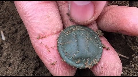Metal Detecting - Return to the Button Tree!