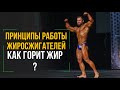 ПРИНЦИПЫ РАБОТЫ ЖИРОСЖИГАТЕЛЕЙ, КАК ГОРИТ ЖИР?