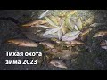 Тихая охота зима 2023 ночная подводная охота 2023 подводная охота 2023 подводная охота ночью 2023