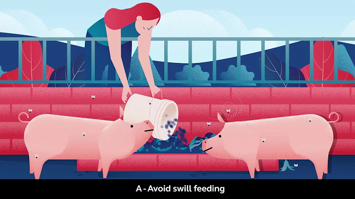 African Swine Fever: Disease Information and BAI Prevention Strategies