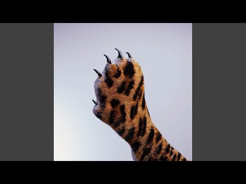 Bassdog — HUTCH