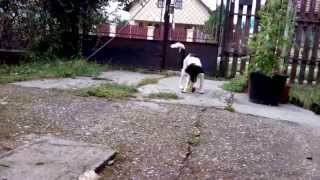 VID 20150823 103814