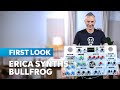 Erica Synths Bullfrog: Analog for All, Developed with Richie Hawtin