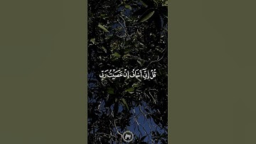 سورة الأنعام _ القارئ/ ياسر الدوسري