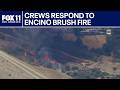 Brush fire erupts in Encino