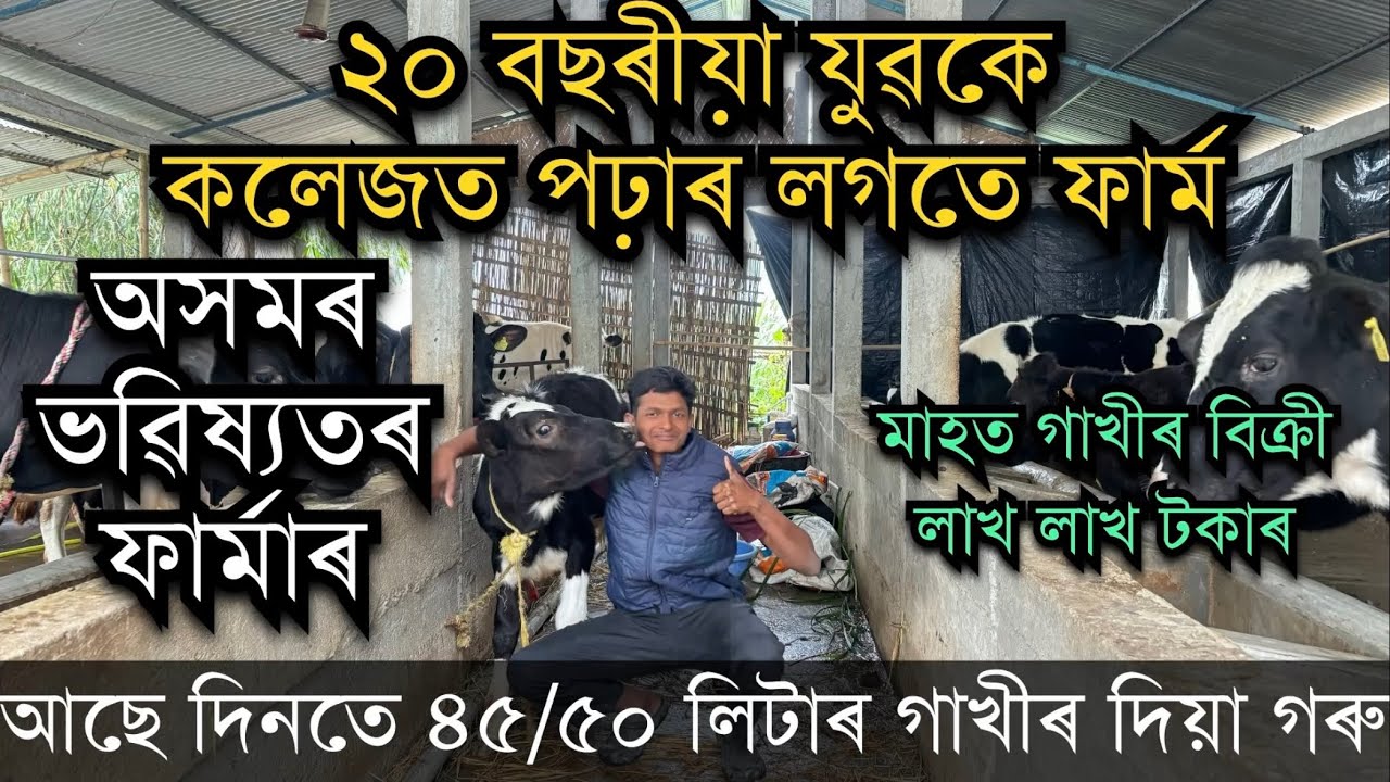 ভৱিষ্যতৰ ফাৰ্মাৰ। ২০ বছৰ বয়সতে কলেজৰ লগতে কৰিছে গৰু ফাৰ্মৰ Dairy farm in Assam ॥Cow farm in Assam