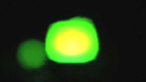 With my feet upon the earth - make noise 0-ctrl, rene, dpo, moog subharmonicon, dfam, mangrove