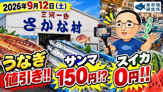 【100％勝ち確定】うなぎ白焼きが値引き！サンマ150円＆スイカ0円試食がヤバい｜一色さかな村 サンマ