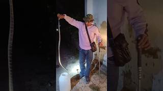 कॉमन करेंत को पकड़े हुये #punjabisong #punjabimusic#jammu#kathua #virel #india#rescue#snake #mukesh