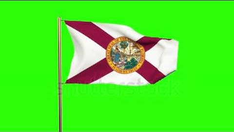 florida flag waving in the wind. Green screen, alpha matte. Loopable animation Stock video by