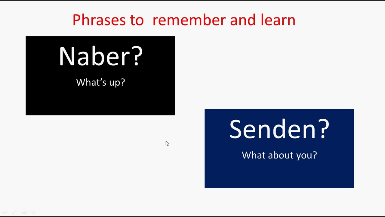 LEARN DAILY 11 DIALOGS IN TURKISH - BEST 11 TURKISH DIALOGS