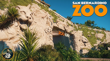 Building a Gift Shop & Exit in Franchise Mode! | San Bernardino Zoo | Planet Zoo
