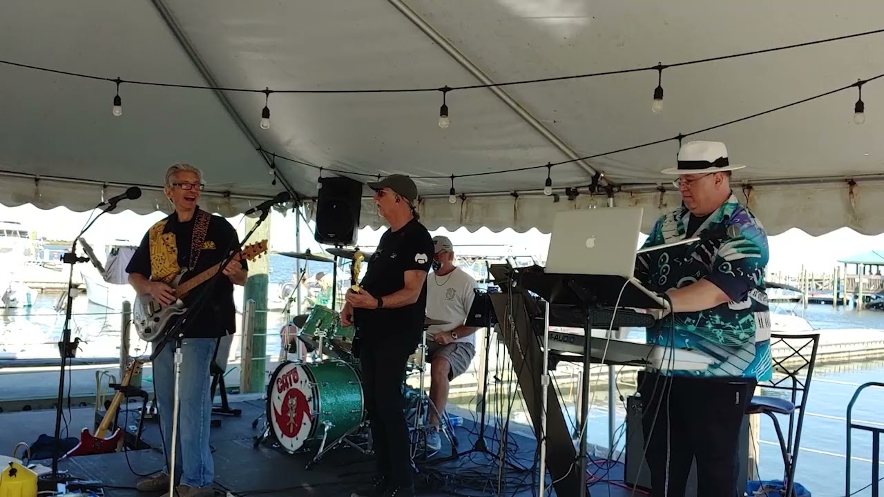 Runaway  Cat5 at The Conch House