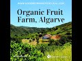 Portuguese Property: Organic Fruit Farm, Monchique, Algarve, Portugal