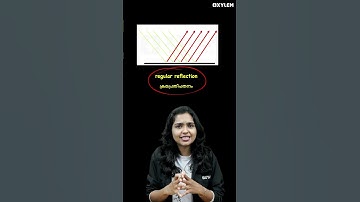 Reflection Of Light | Xylem Class 7