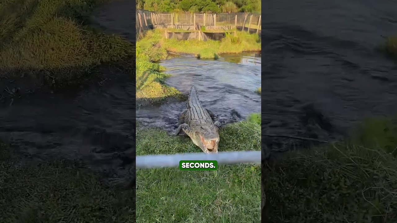 Hendri Coetzee’s Final Descent | The Tragic Psychology Behind Extreme Kayaking’s Darkest Day