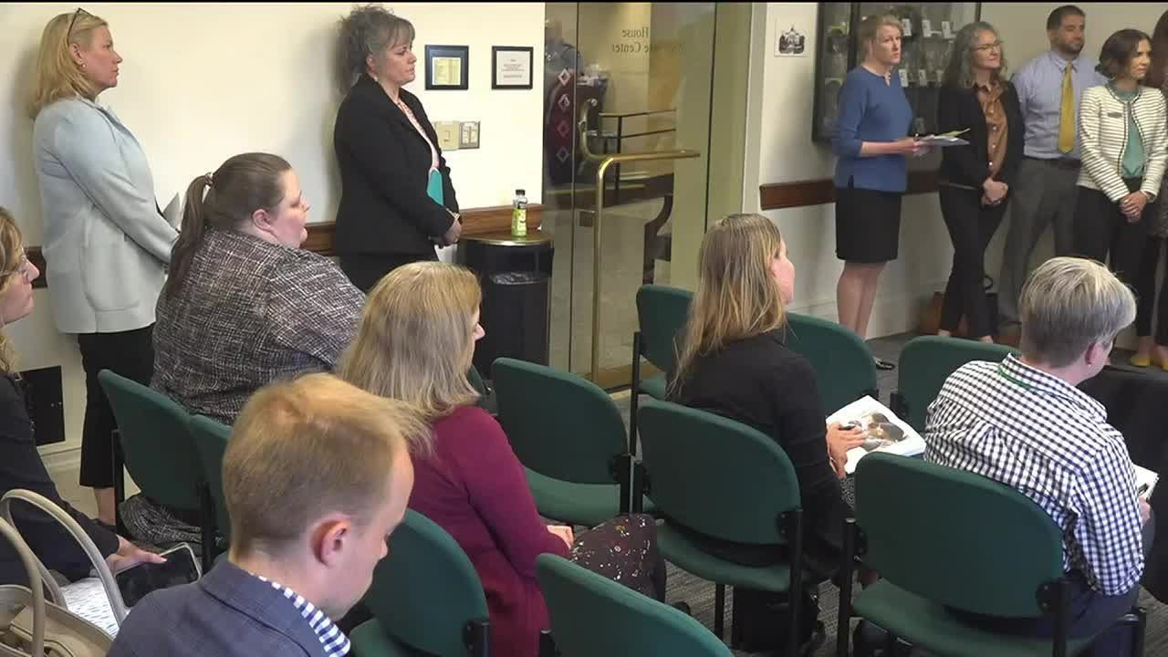 Maine's new child safety and family well being plan has been released