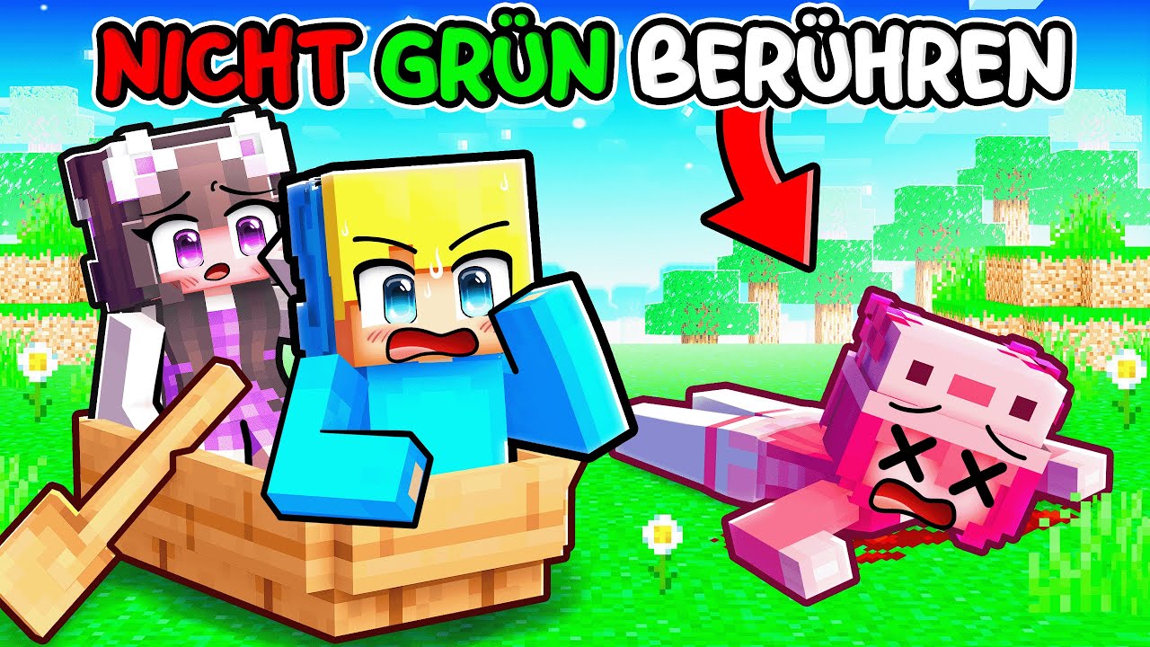 Minecraft, aber du darfst nicht die FARBE GRÜN berühren!