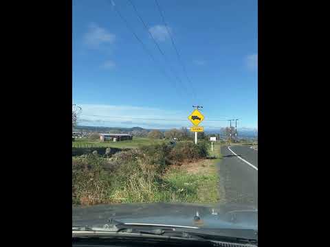 Video: Rotorua uz Taupo (Jaunzēlandes braukšanas tūre)