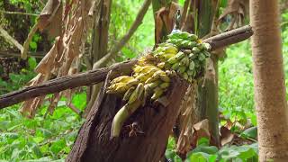 10 Jaw-Dropping Secrets You Never Knew Existed!