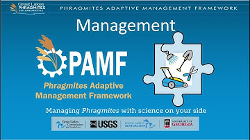 PAMF Management