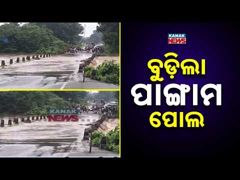 ପାଙ୍ଗାମ ପୋଲ ଉପରେ ପାଣି Pangam Bridge Flooded | Floodwater Flows Over Road in Malkangiri