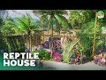 Reptile House - Planet Zoo Lets Play Franchise Mode - Casa de la Tierra