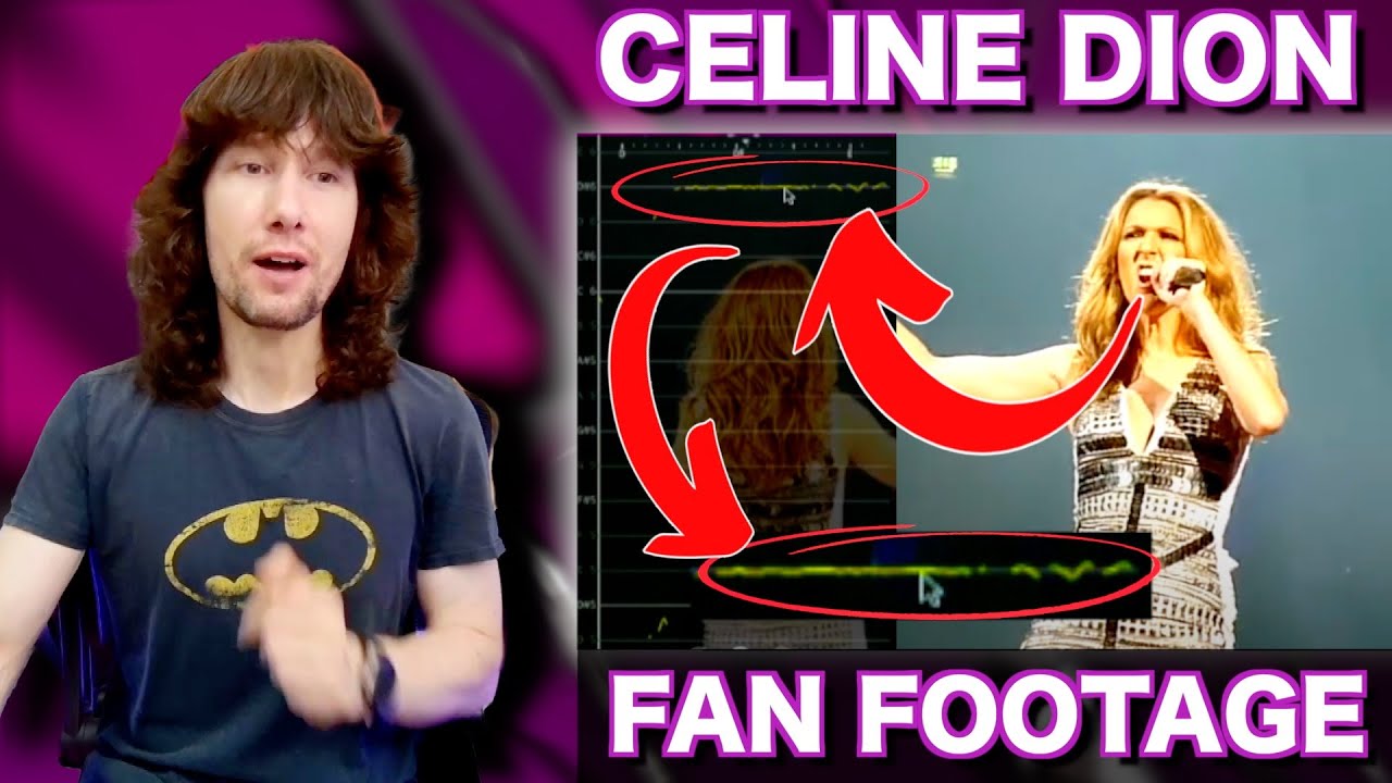 Crowd shot footage reveals Celine Dion's natural, ACTUAL pitch accuracy!