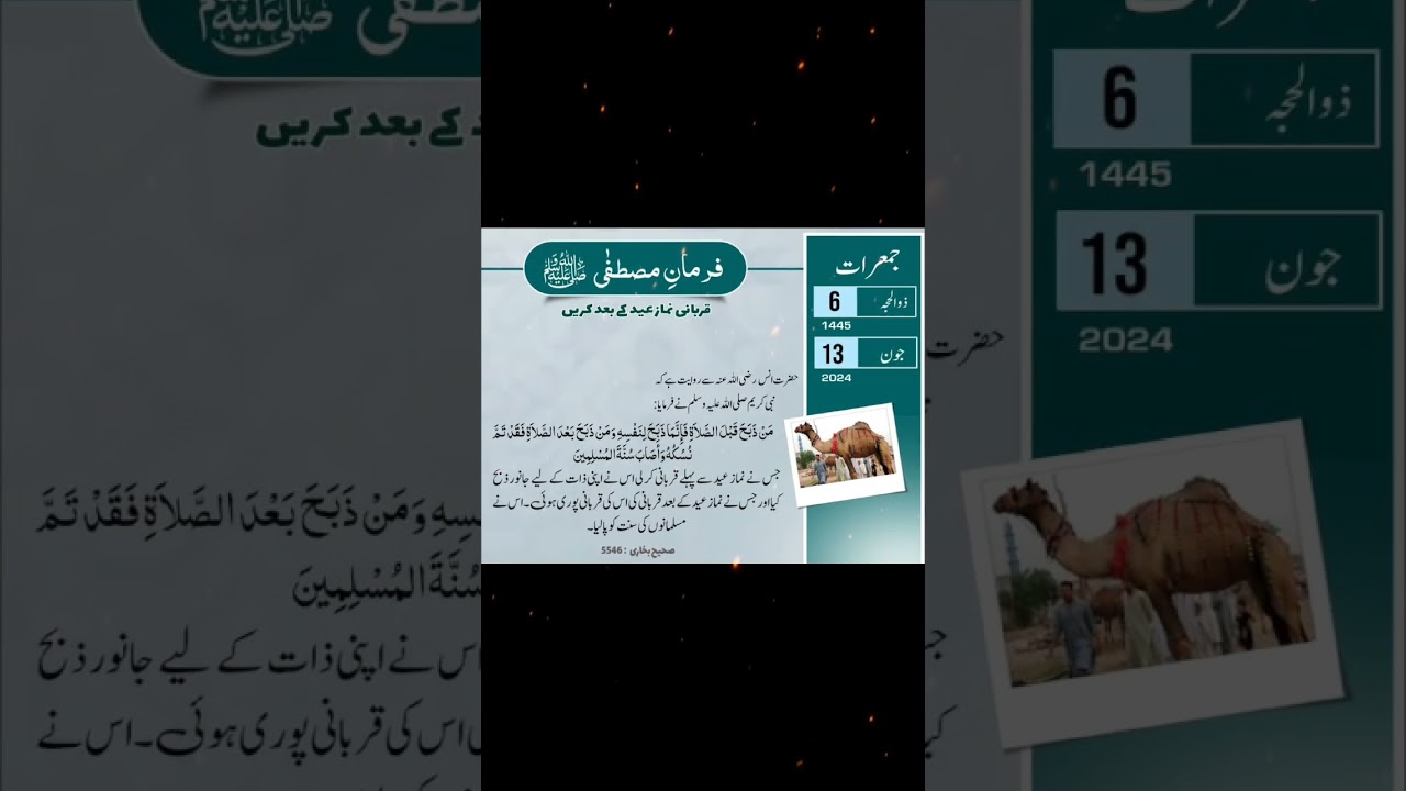 best hadees 🥰🌸❣️ 