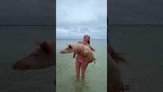 #Bravemas Day 14 🐷 Swimming With Pigs In The Bahamas/ Ed Awareness 💖 #Bravegang #Shorts #Pig