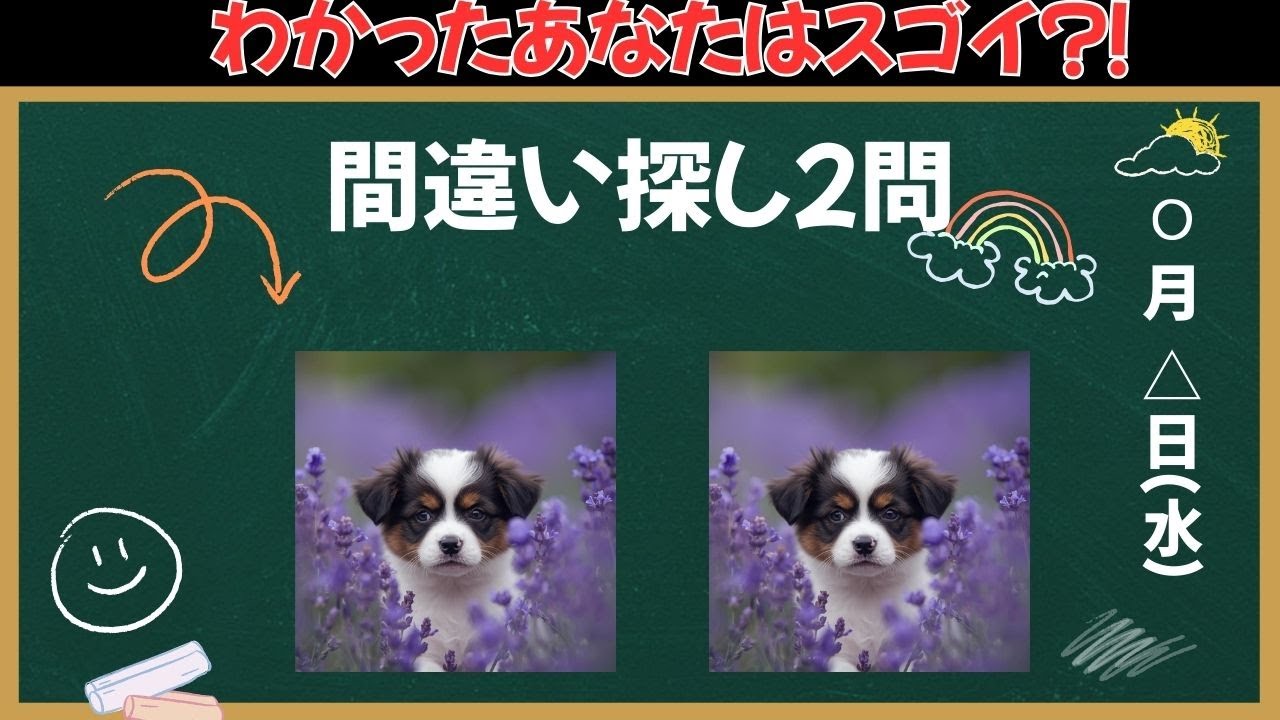【間違い探し】これがわかったあなたの脳年齢は若い！！サクッと脳を活性化！