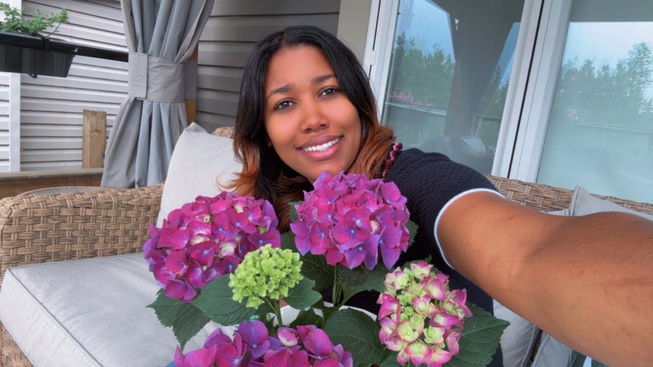 Editar videos es tan difícil. Cómo va el huerto en casa  Actualización de las plantas que sembré