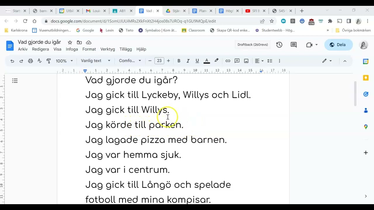 Meningar i preteritum för sfi