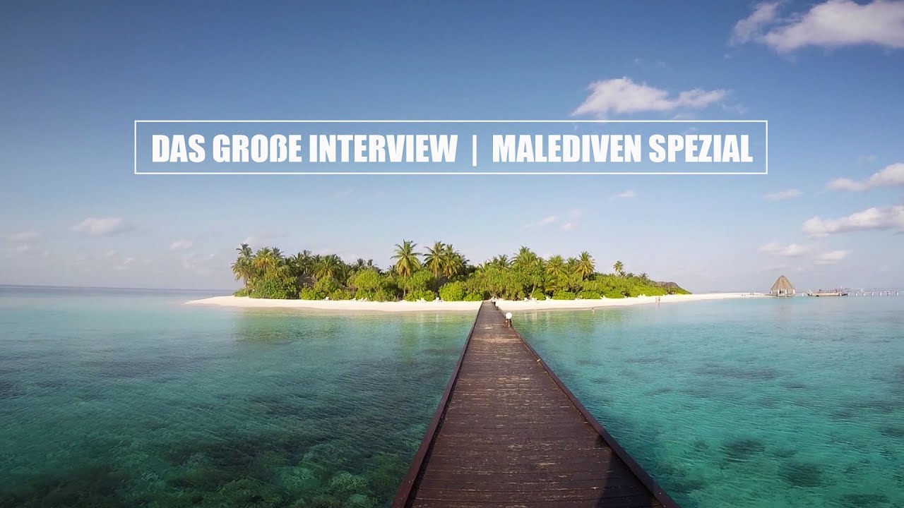 lucy caterpillar hebden bridge DAS GROßE INTERVIEW | MALEDIVEN SPEZIAL - LUCY CAT