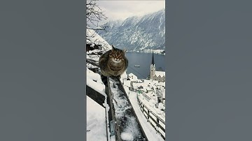 Vienna: The City That Perfected Civilization