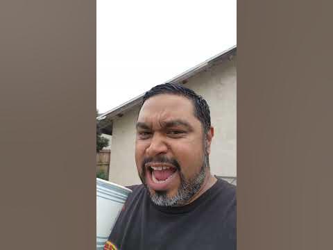 What Sound Does a Whale Make? - YouTube