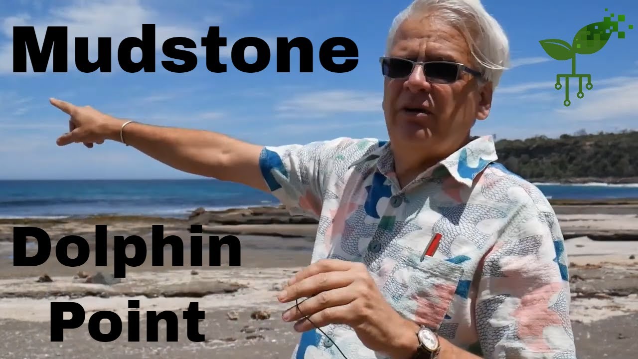 ⁣Mudstone - Dolphin Point: Insights and inferences | Introduction to Earth systems | meriSTEM