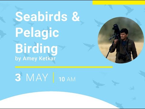 Introduction to Sea birds & Pelagic birding: BOTRD Webinar by Amey Ketkar
