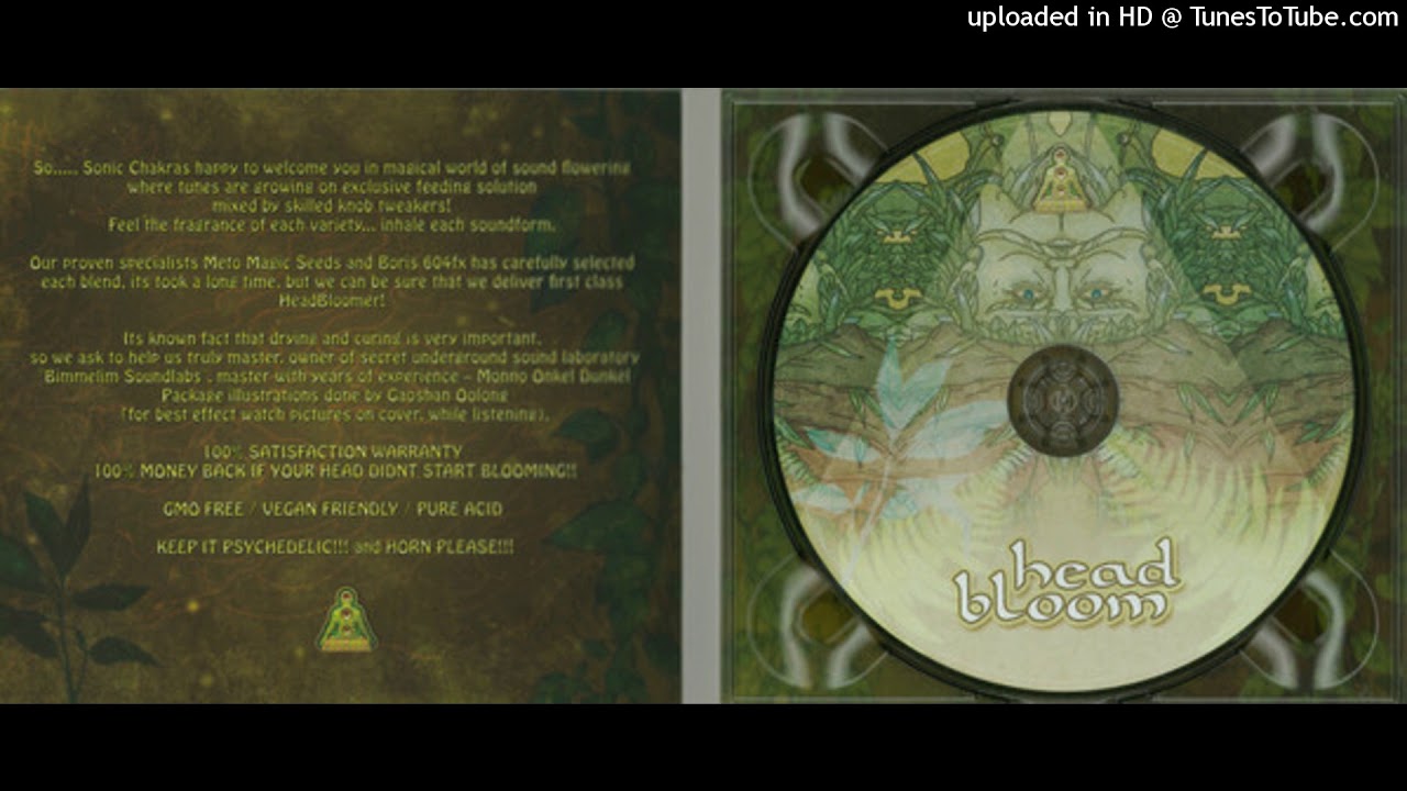 AnnoyingNinjas - Kameltå