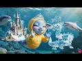 English | The Friendly Shark Talent Show