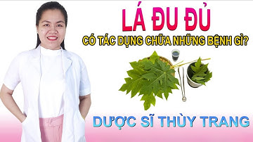 Lá đu đủ có những tác dụng chữa bệnh gì? Cách sử dụng lá đu đủ an toàn #papaya