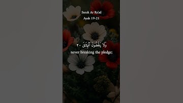 الشيخ ياسر الدوسري | سورة الرعد #القران #القاريء