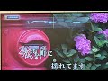 【後ろ雨】田川寿美  COVER